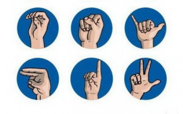  В Україні не вистачає перекладачів з жестової мови для глухих людей – представниця Українського товариства глухих