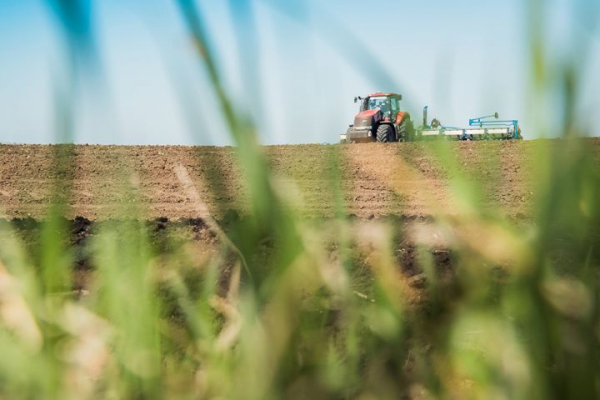 Чи буде Україна із зерном цього року ― коментує експерт