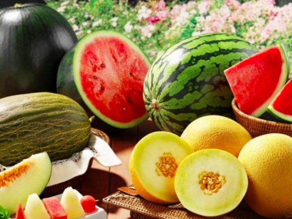 Чи буде дефіцит або суттєве зростання цін на овочі та фрукти ― коментує експертка