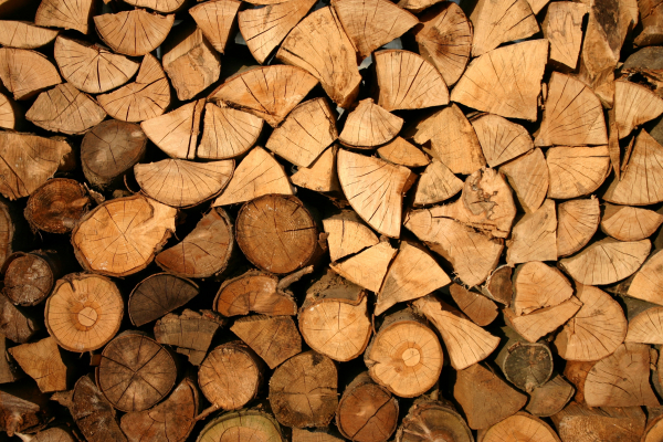 "Без газу": Українці запасаються дровами. Де купити? Розповідає Держагентство лісових ресурсів України