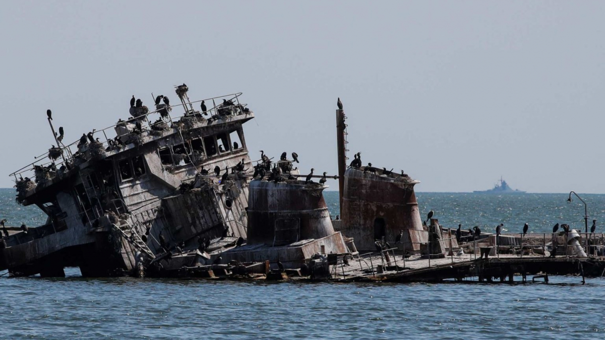 Внаслідок розв'язаної Росією війни тонни важких металів осіли на дні Чорного моря — Дикий 